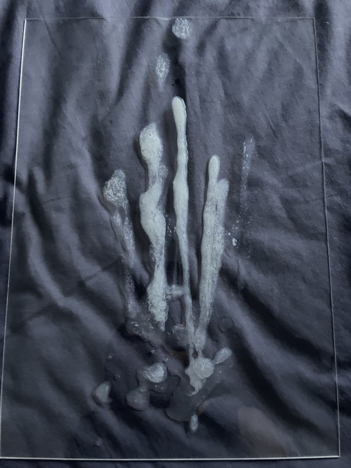 X34OCXCC Twice Momo Kpop Cum Tribute 03.jpg